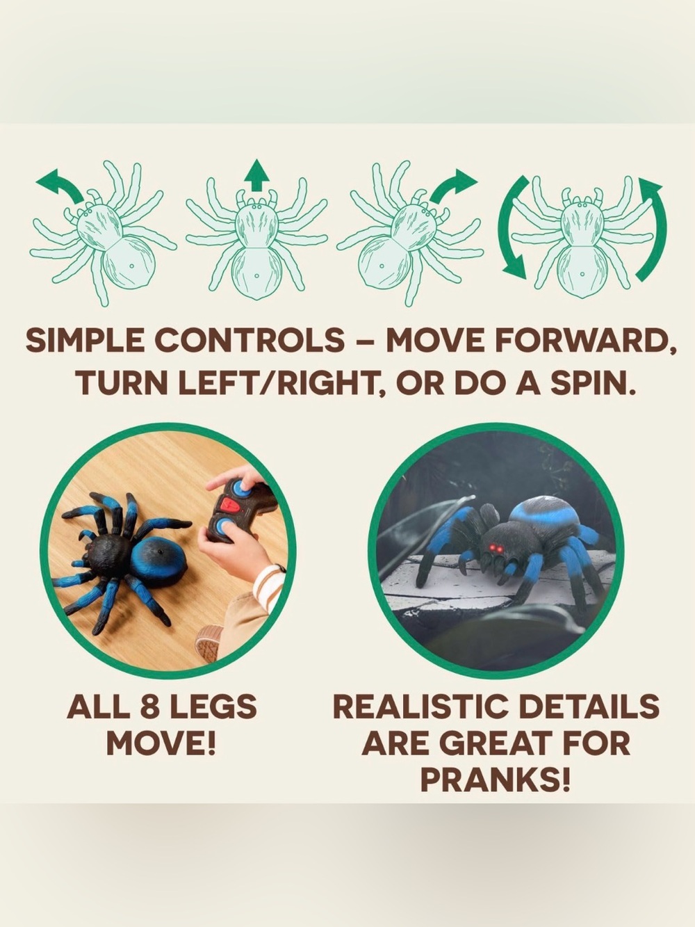 Remote Tarantula Spider - Picture 5 of 10